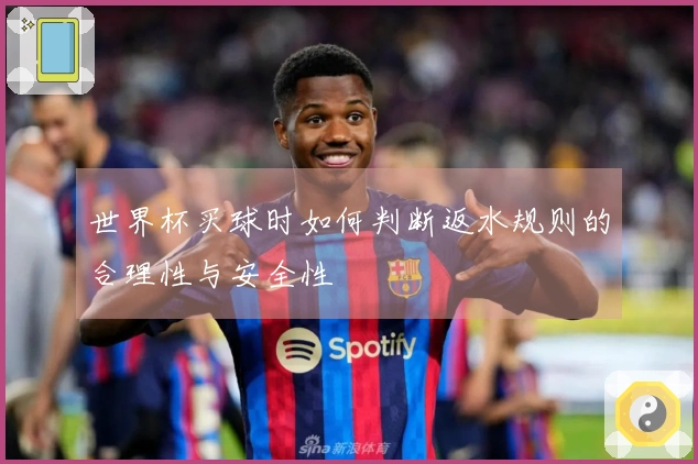 世界杯买球时如何判断返水规则的合理性与安全性