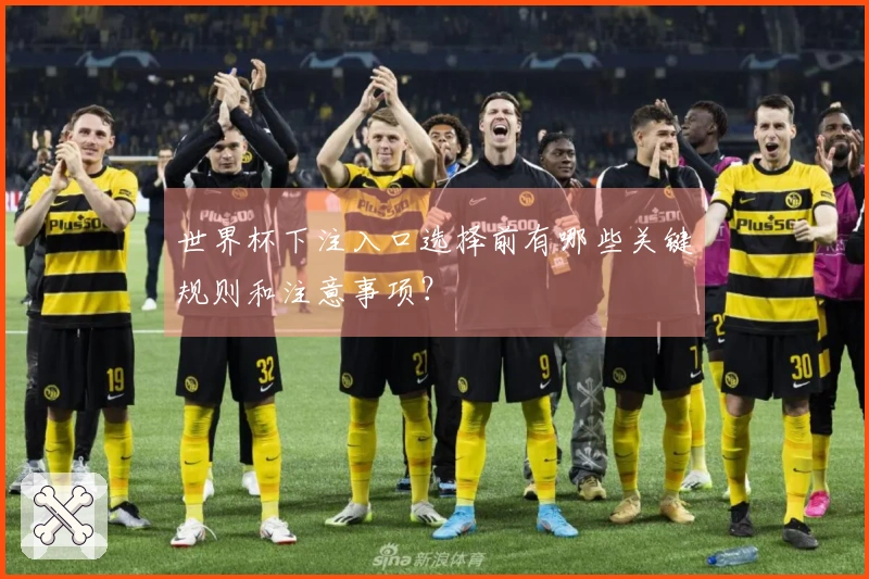 世界杯下注入口选择前有哪些关键规则和注意事项？