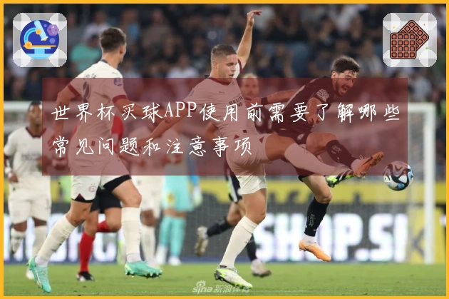 世界杯买球APP使用前需要了解哪些常见问题和注意事项