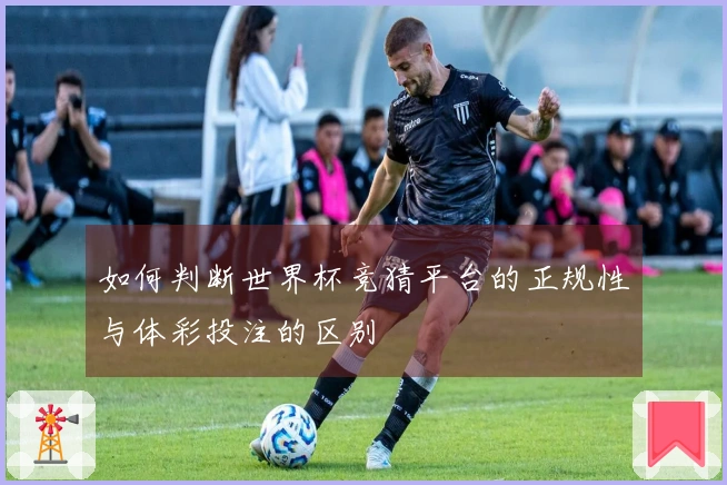 如何判断世界杯竞猜平台的正规性与体彩投注的区别