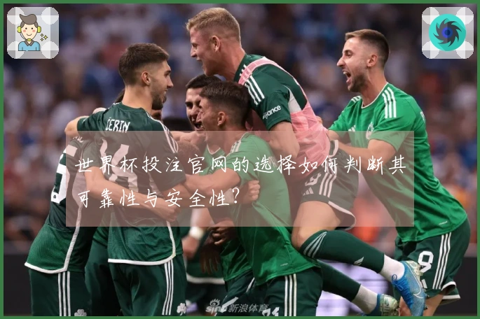 世界杯投注官网的选择如何判断其可靠性与安全性？
