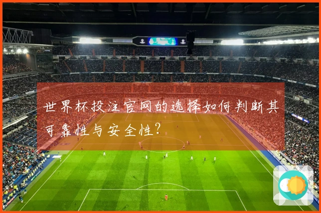 世界杯投注官网的选择如何判断其可靠性与安全性？