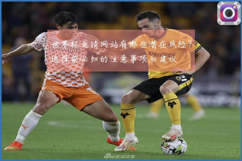 世界杯竞猜网站有哪些潜在风险?选择前必知的注意事项和建议