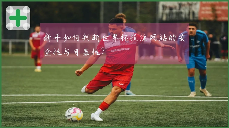 新手如何判断世界杯投注网站的安全性与可靠性？