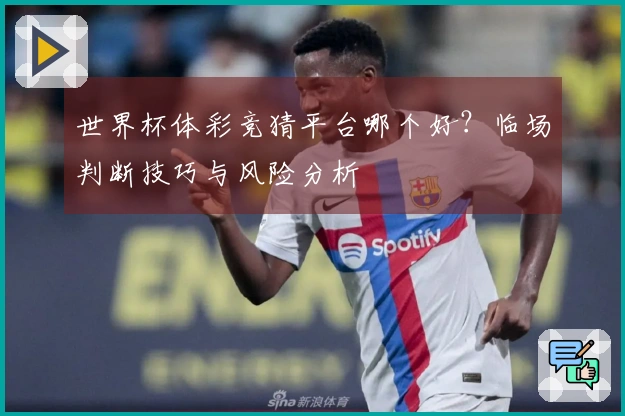世界杯体彩竞猜平台哪个好？临场判断技巧与风险分析
