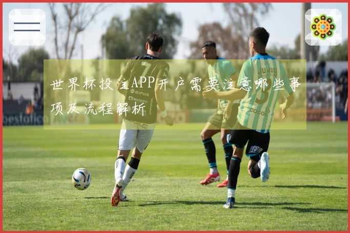 世界杯投注APP开户需要注意哪些事项及流程解析